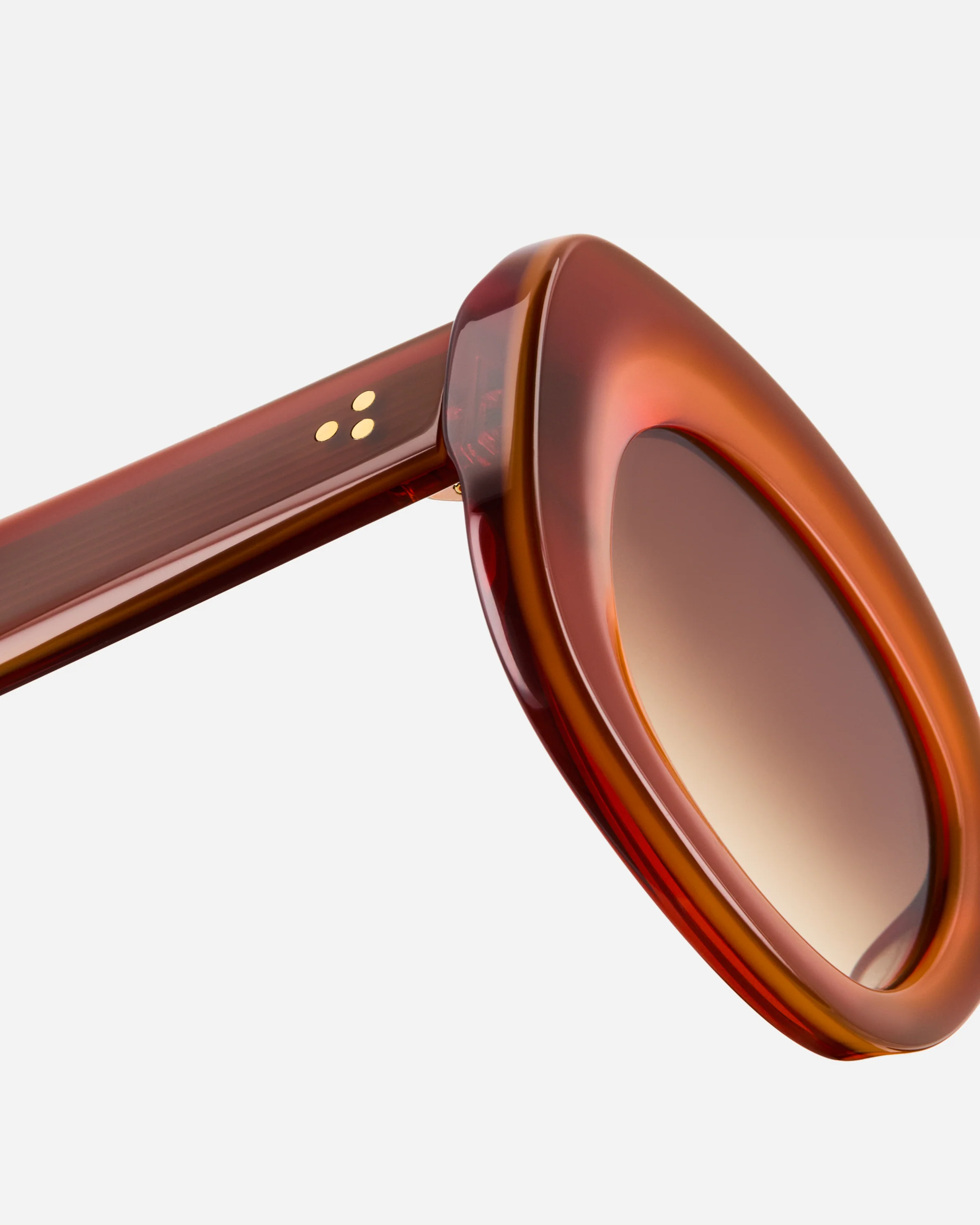The Cinnamon - Image 5