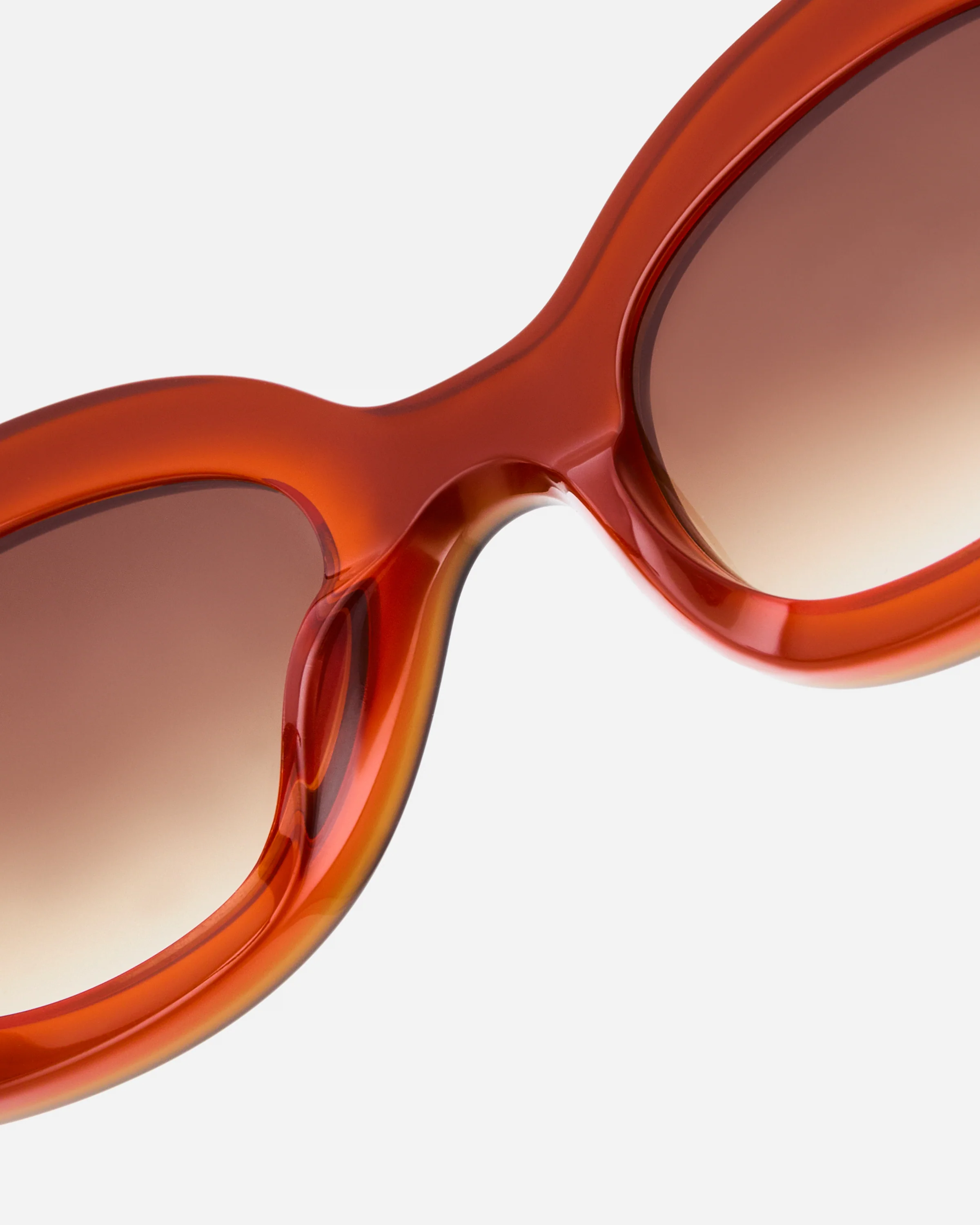 The Cinnamon - Image 6